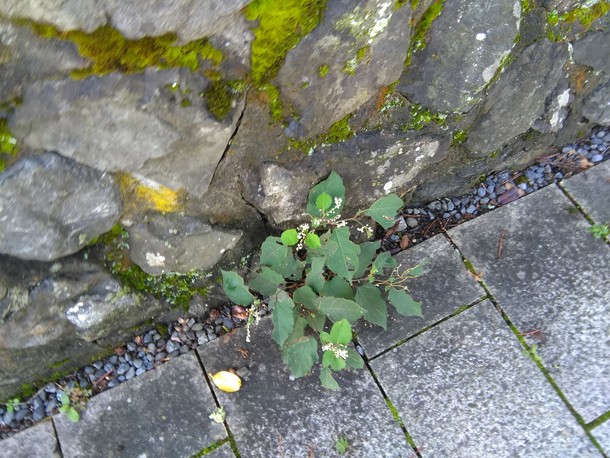 3170300cc7540597b737b04d4e73b3d3e676d603