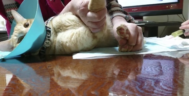 4fef4d6289b93af5b25ea8fc13eefd9fe499bd9a