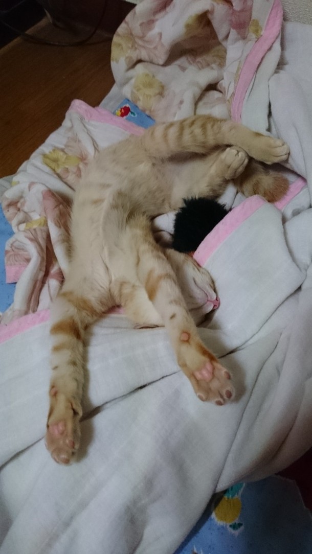 029e944a81f15d360c679cfa097f7632f52c111e