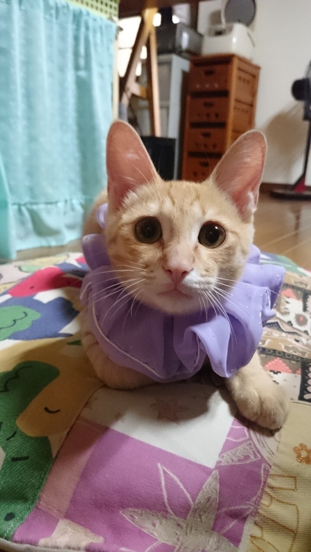 943048997598cd48d07efac948d3b6feda5f4e0c