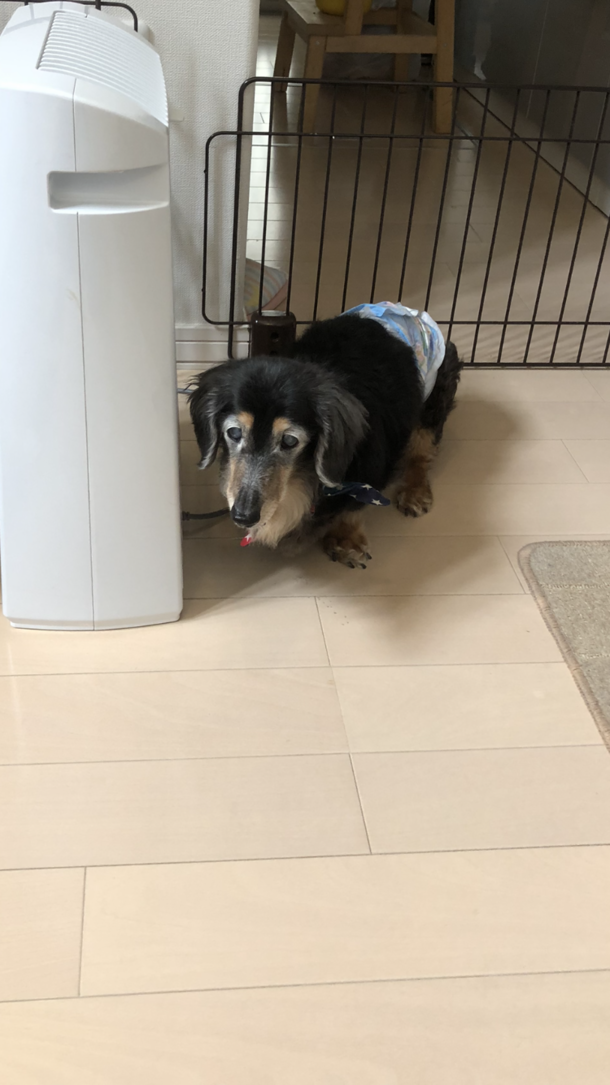 D33cb338ec2fdc2ec477513af15c38fa243de2fb