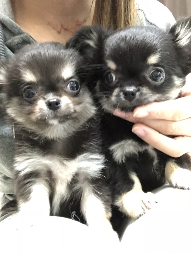 04f2a7ee8c447373d59ec543124d0fa1abaa1c97