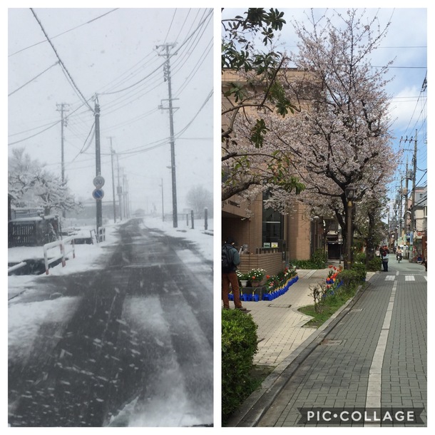 2ec785b654442062adbd5d607d47b0fade836c9c