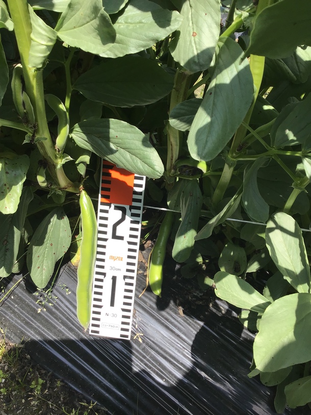 Eec53194eb27abec8350f7f6aaa362260fed08d9