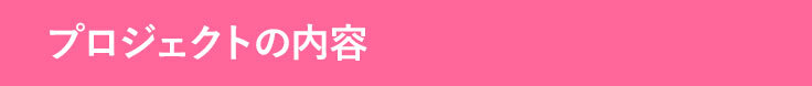 プロジェクトの内容