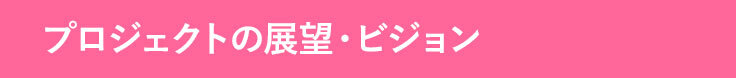 プロジェクトの展望とビジョン