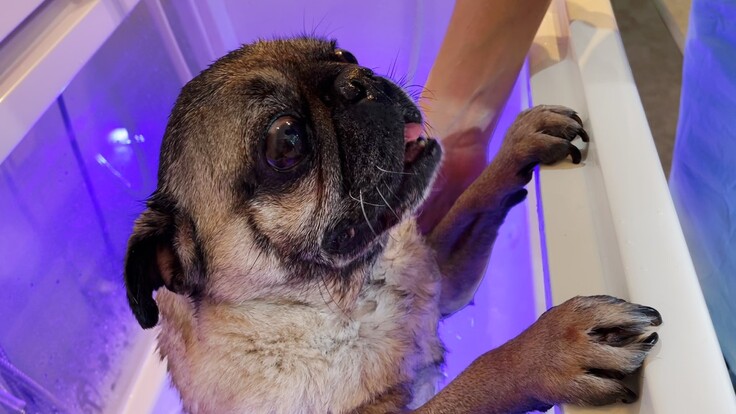 バブルバスイメージ