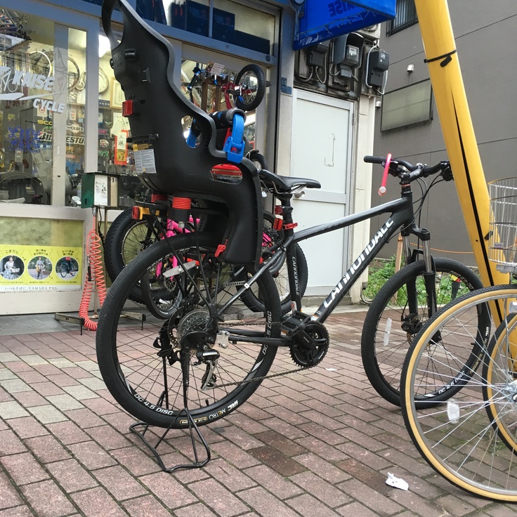 キャノンデール