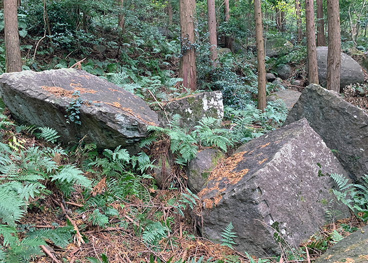 東伊豆町稲取地区 本林石丁場
