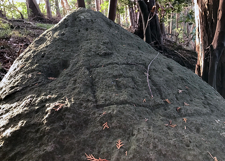 有馬玄蕃頭豊氏 刻印