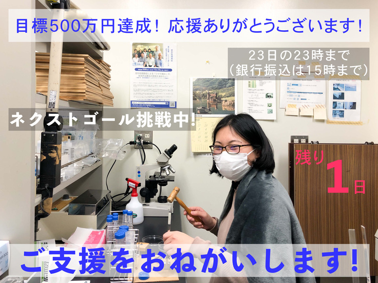 個人写真 残り1日