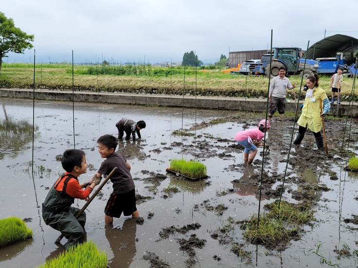 子ども有機農業塾～稲作編～