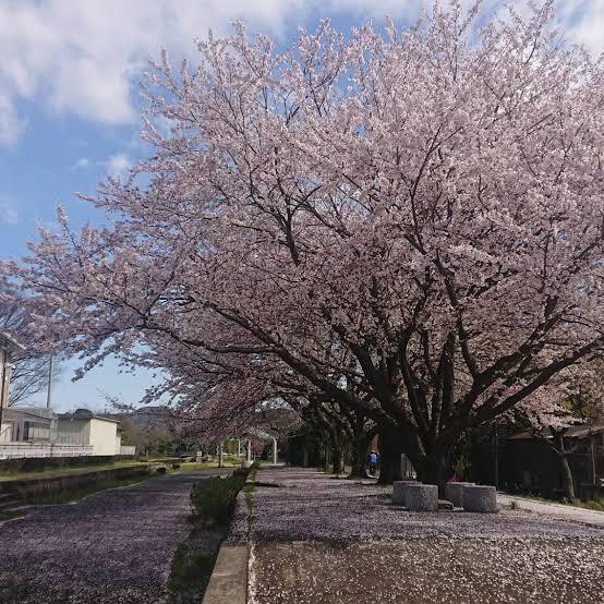 旧真壁駅跡地付近