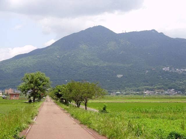 夏のリンリンロード