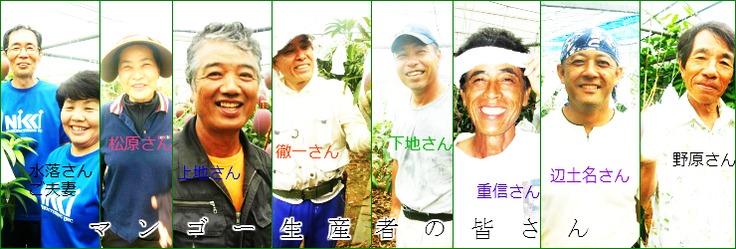 マンゴー生産者