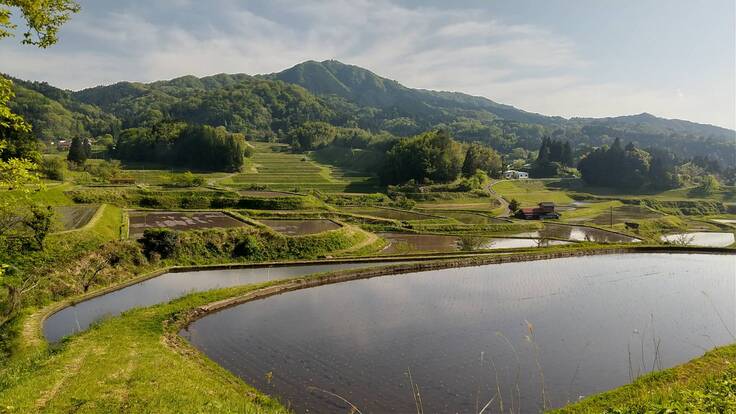 澄んだ水と寒暖差を利用した比田米作り