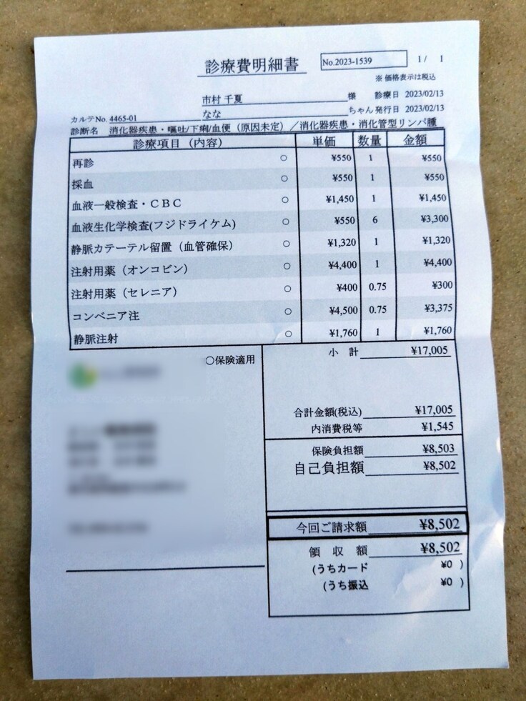 抗がん剤治療費