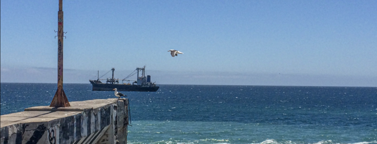 野狐禅『カモメ』