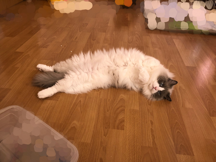 出会って2日目のエース君