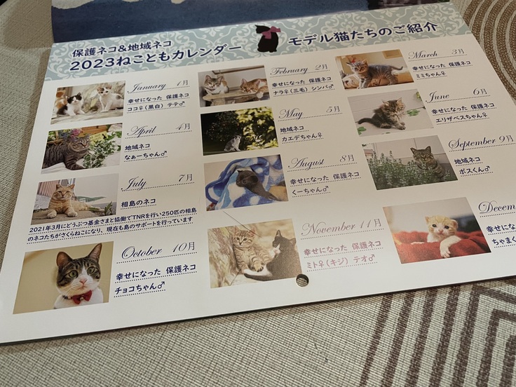 カレンダープレゼント リベンジ！行き場のない猫ちゃん達シェルターを