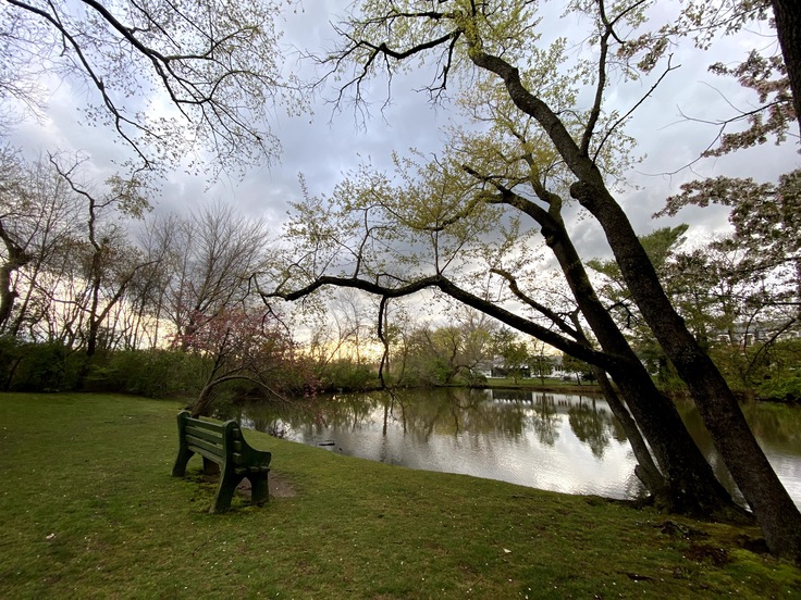 ニューヨーク州グレートネックの池の風景