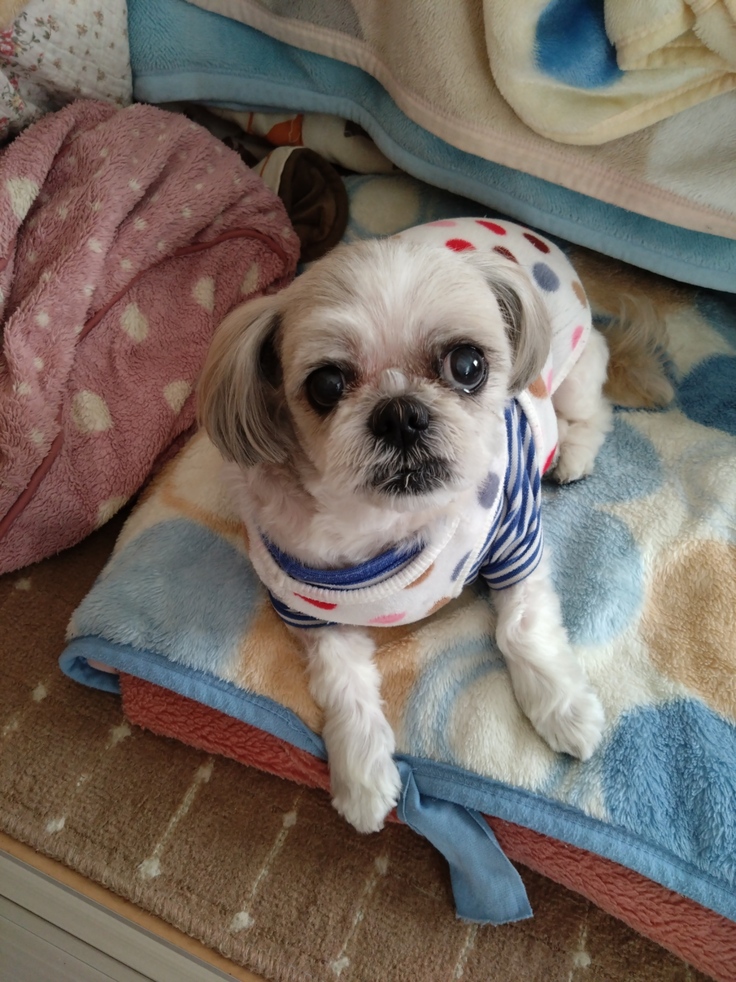 今日(2023.3.13)のなな