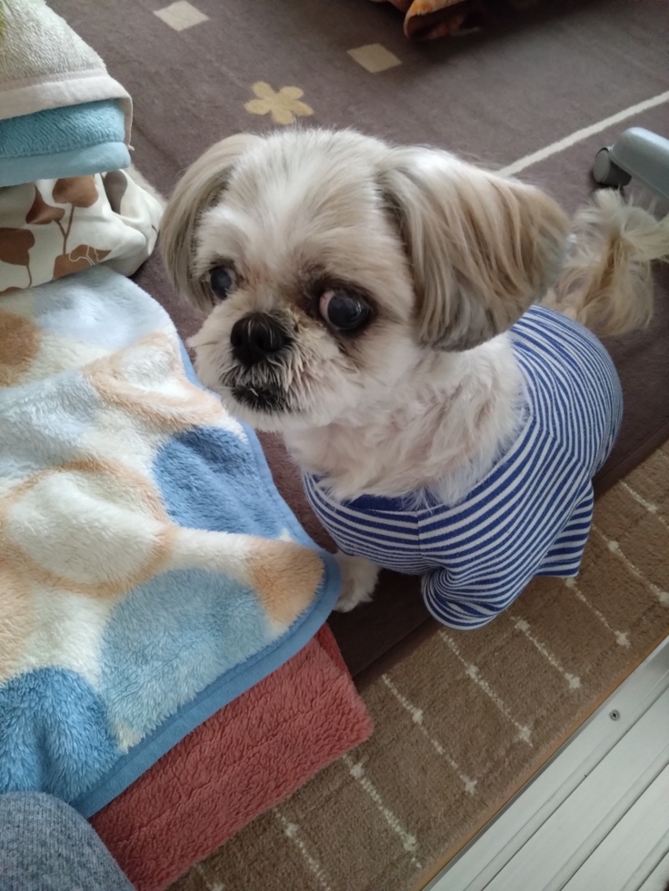 今日(2023.3.15)のなな-1