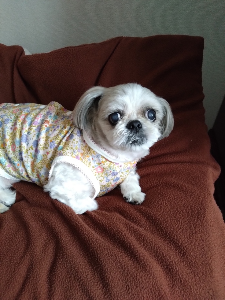 今日(2023.3.17)のなな