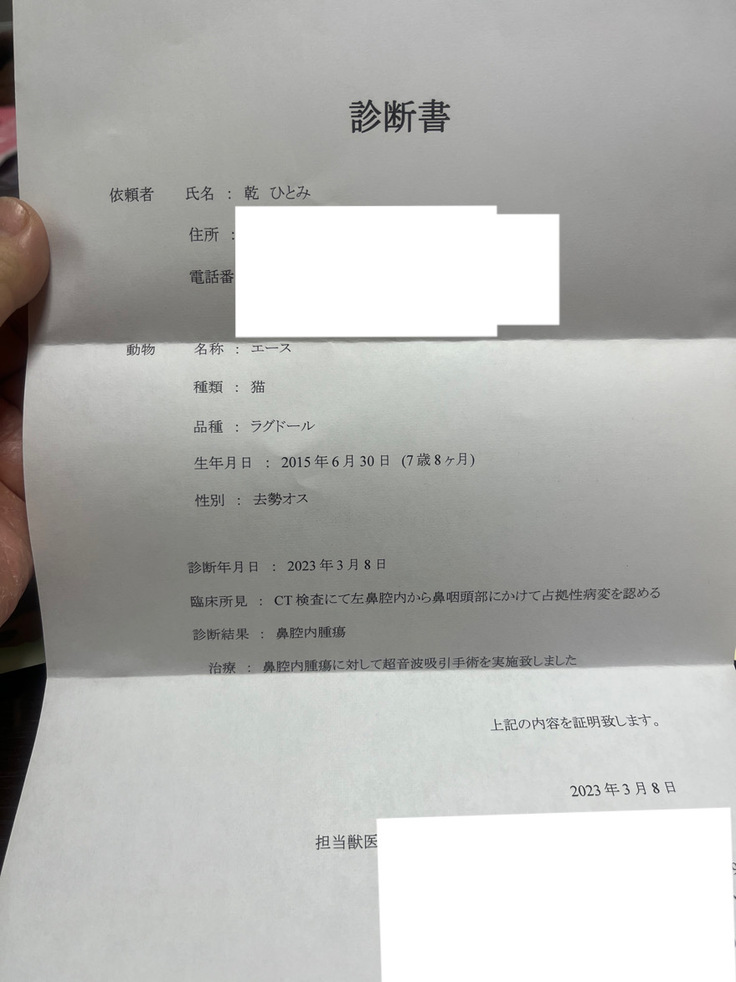 診断書