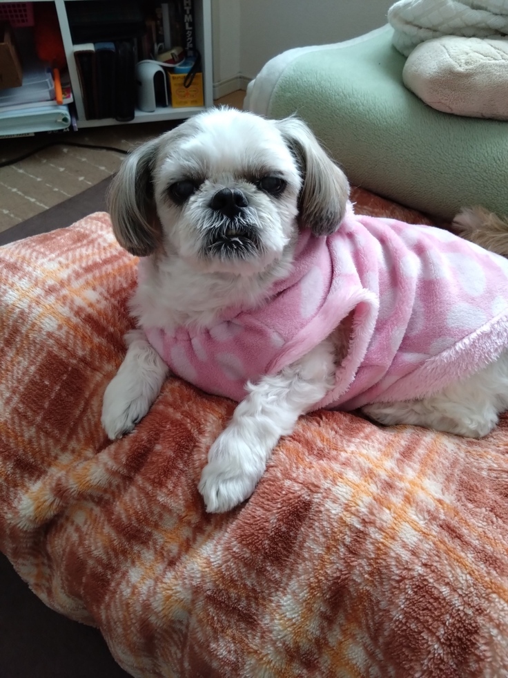 今日(2023.3.18)のなな