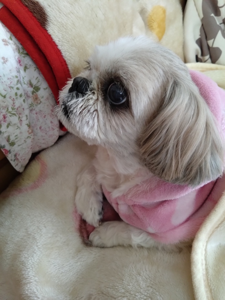 今日(2023.3.19)のなな