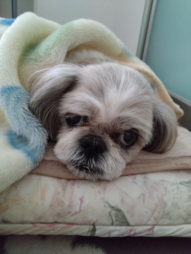 今日(2023.3.20)のなな