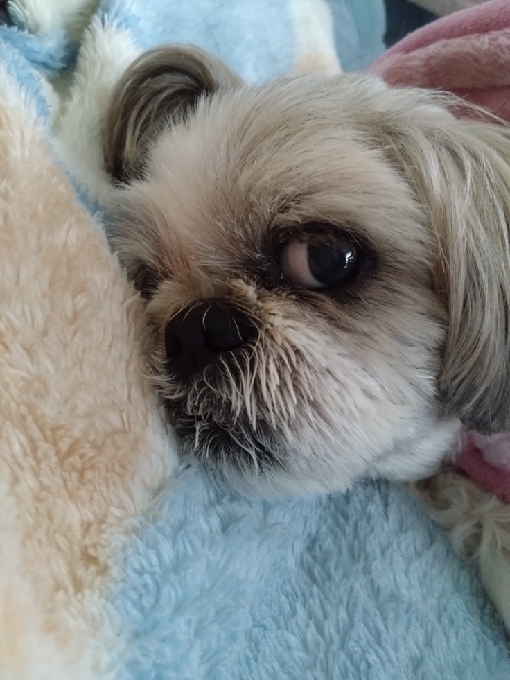 今日(2023.3.22)のなな