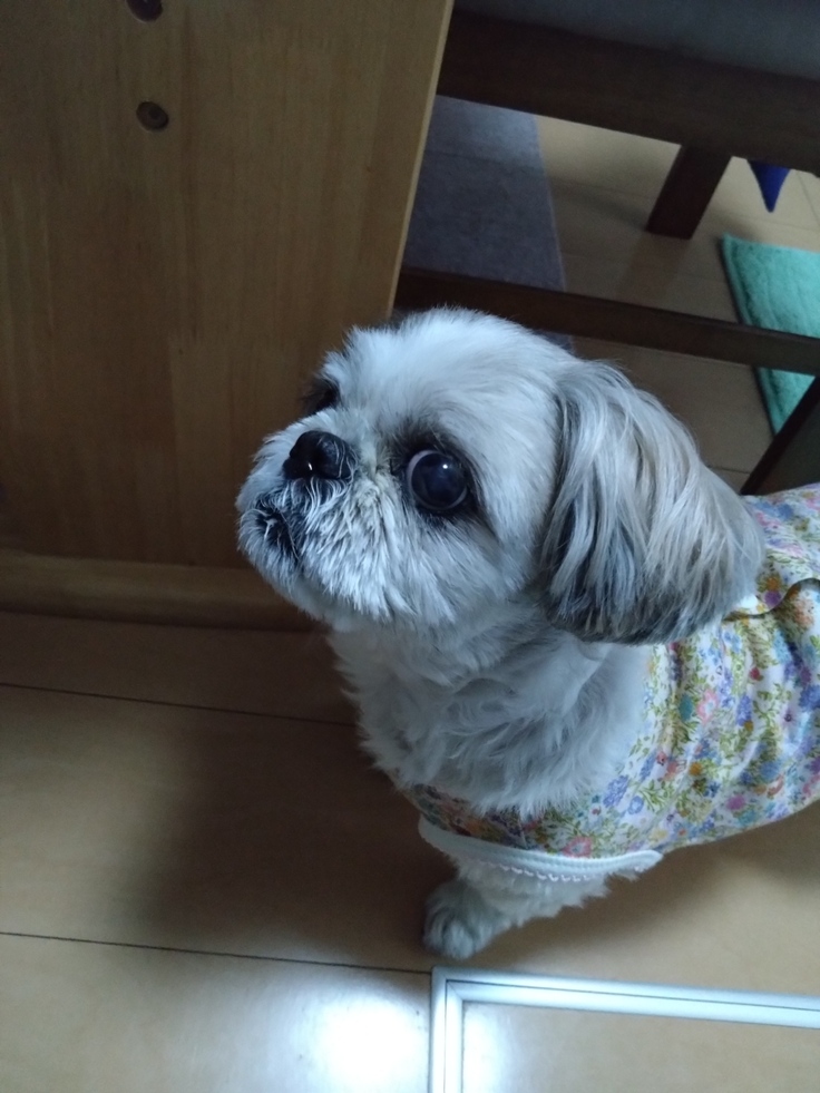 今日(2023.3.23)のなな