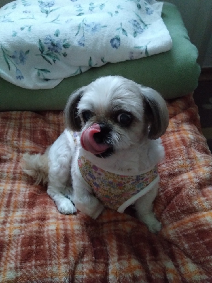 今日(2023.3.24)のなな