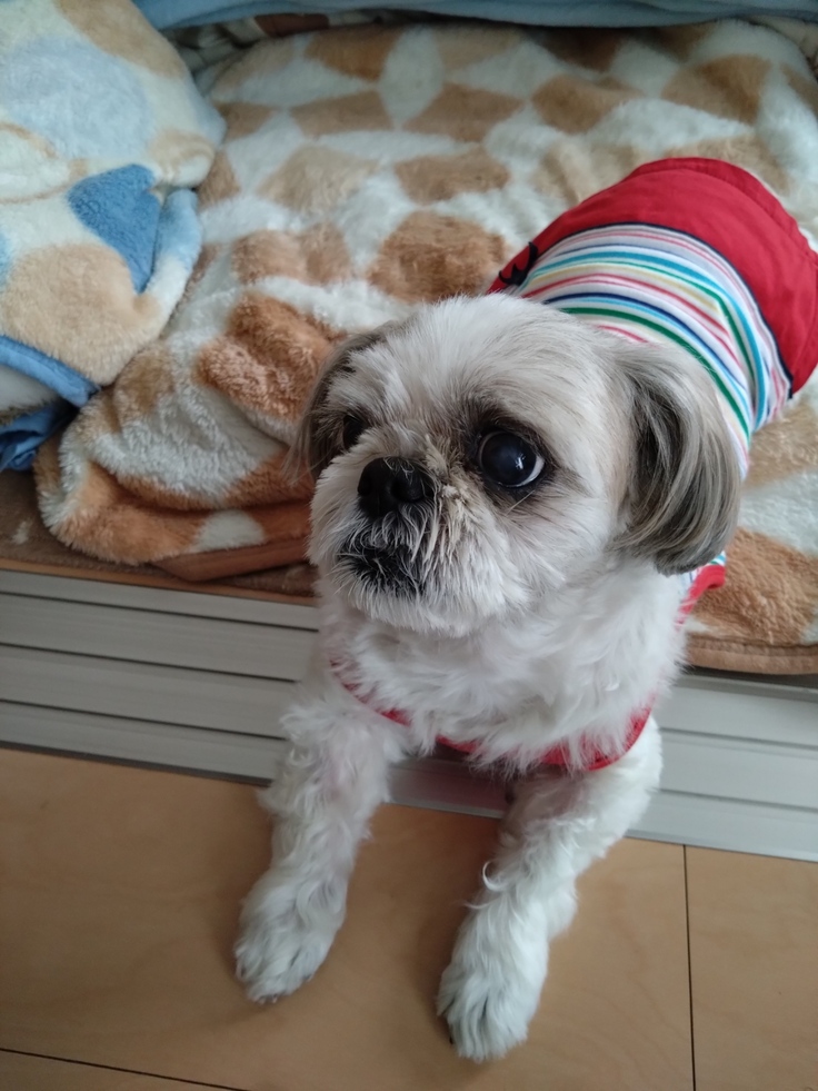 今日(2023.3.25)のなな