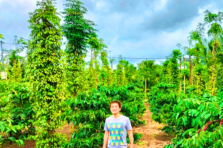 コンパニオンプランツ農園