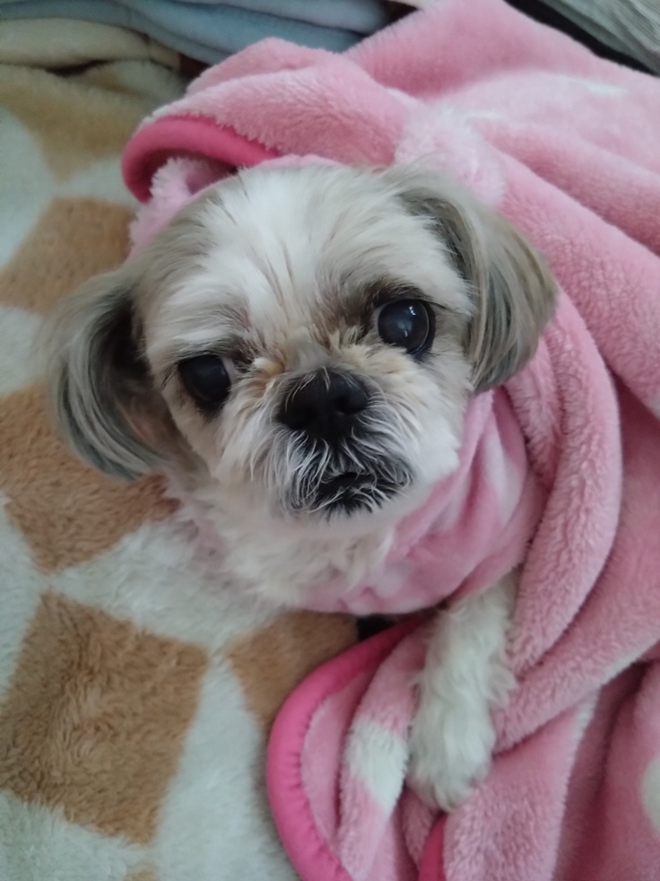 今日(2023.3.28)のなな