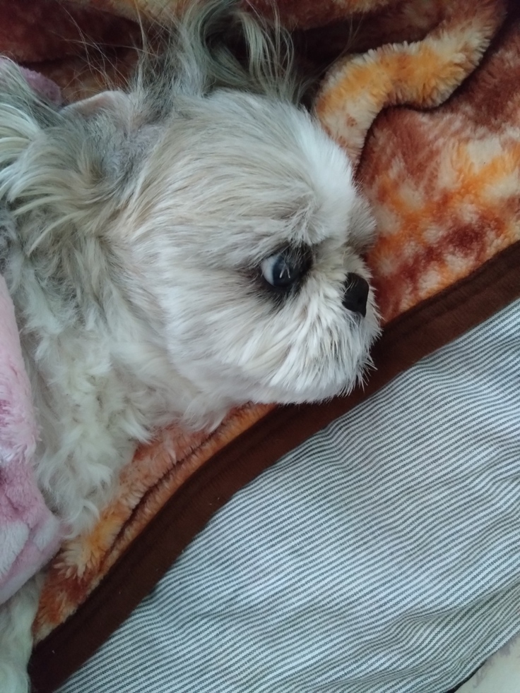 今日(2023.3.29)のなな