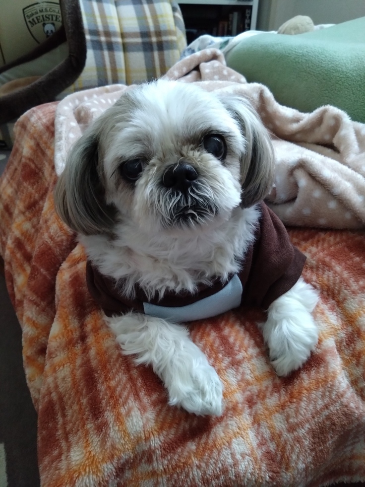 今日(2023.4.3)のなな