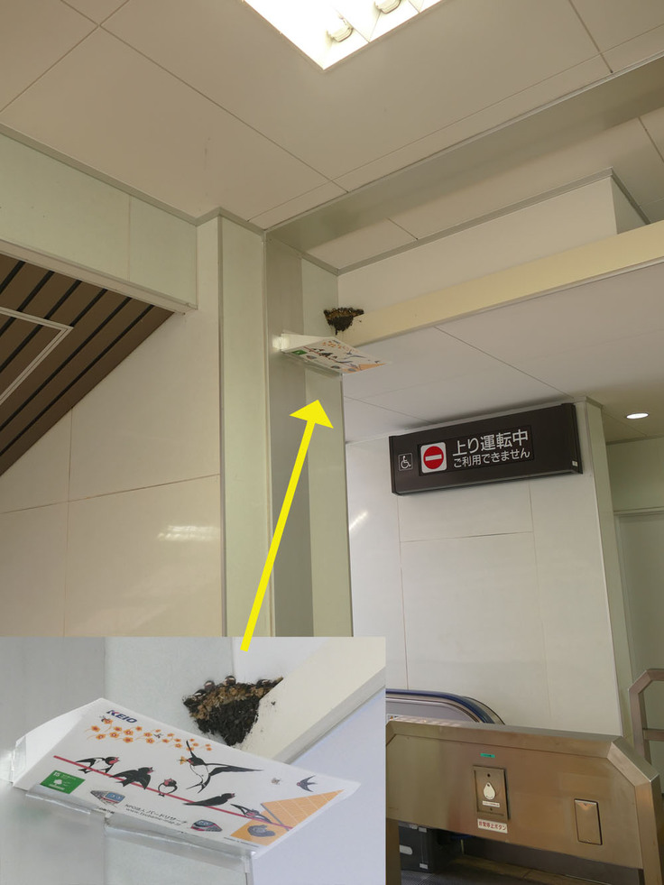 京王電鉄めじろ台駅