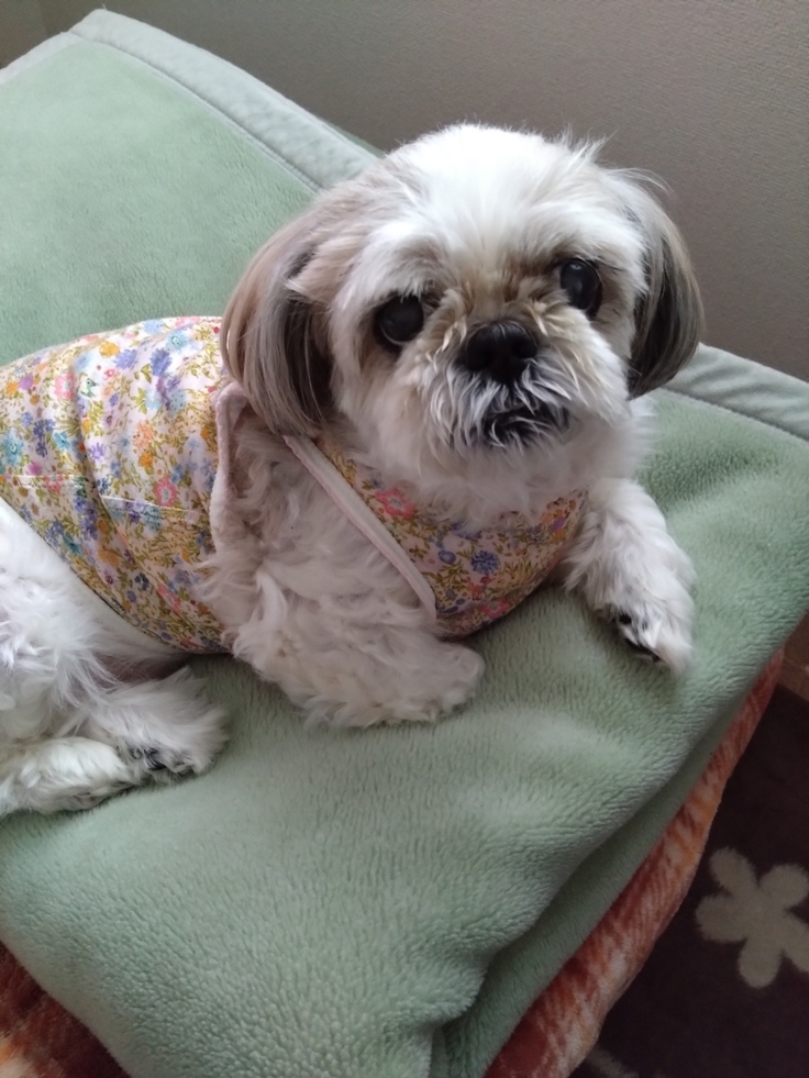 今日(2023.4.14)のなな