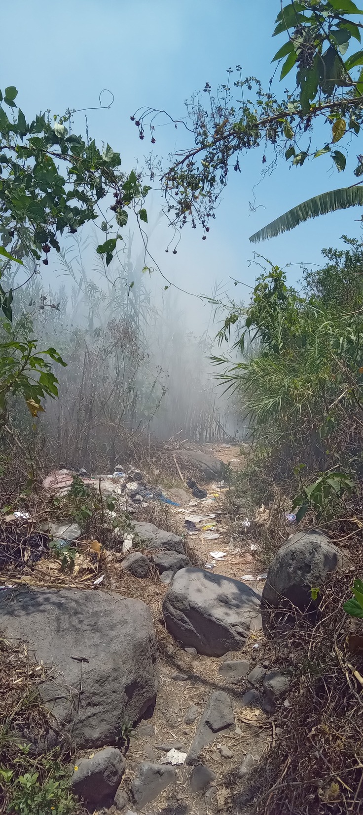 川にはゴミが投げ捨てられ、川付近では毎日のようにプラスチックゴミを燃やしています。