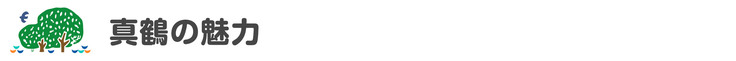 真鶴の魅力