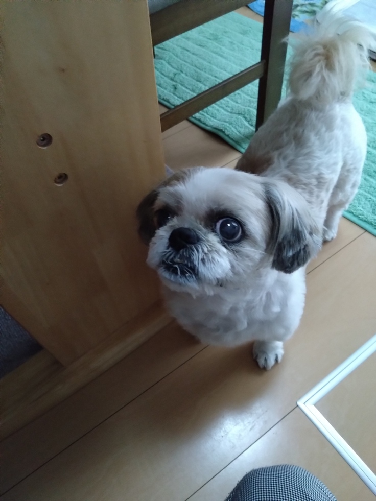 今日(2023.4.21)のなな