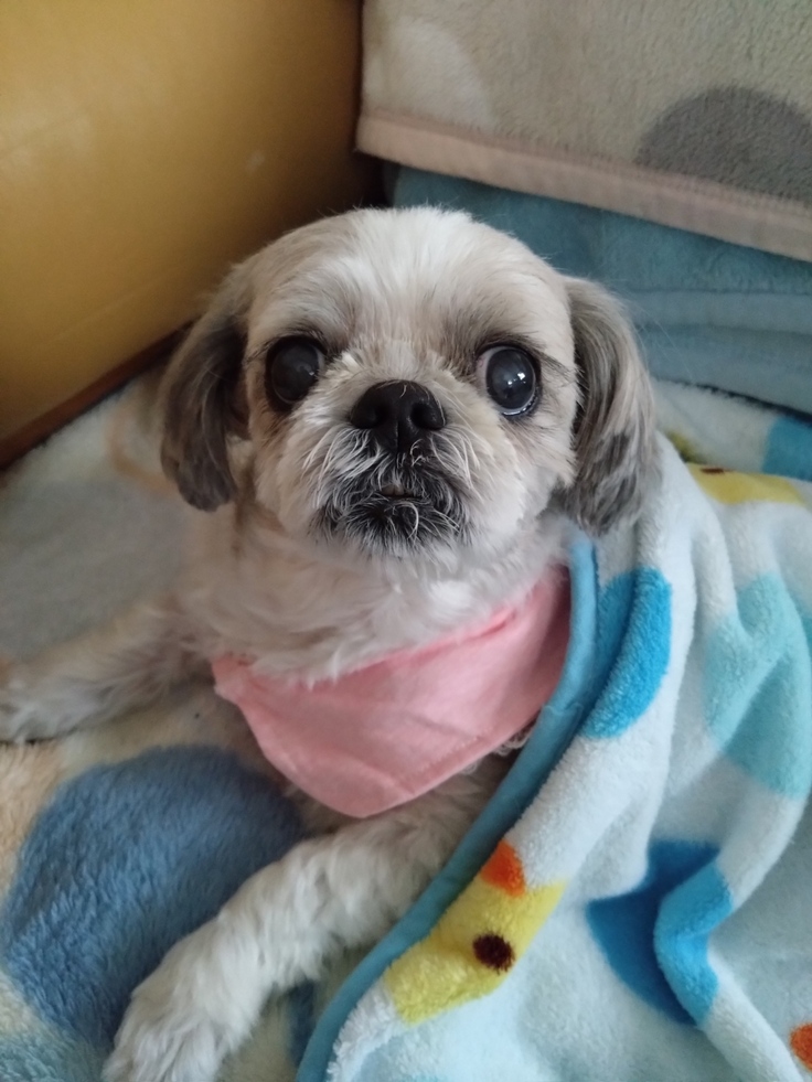 今日(2023.4.24)のなな