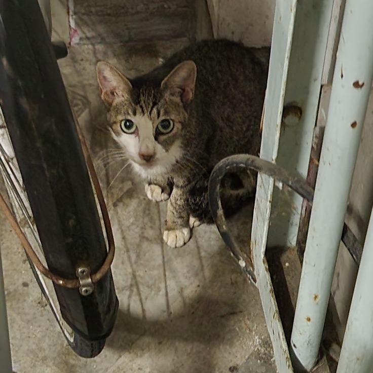 暗く寒い真冬にここにしか居場所のなかった子