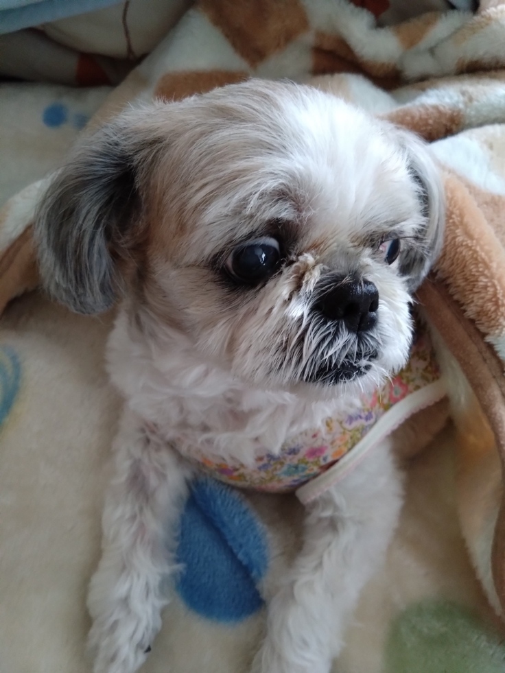 今日(2023.4.28)のなな