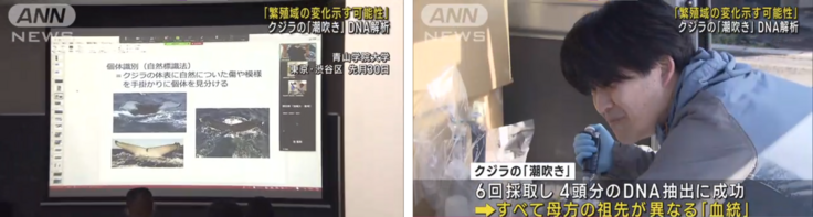 テレ朝のニュースサイトから