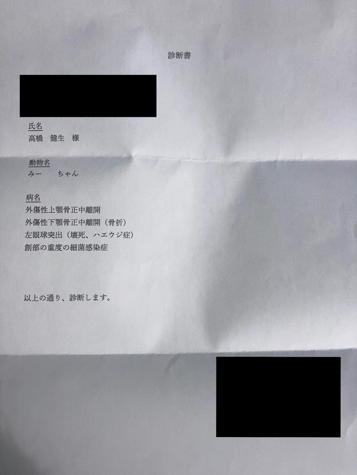 診断書
